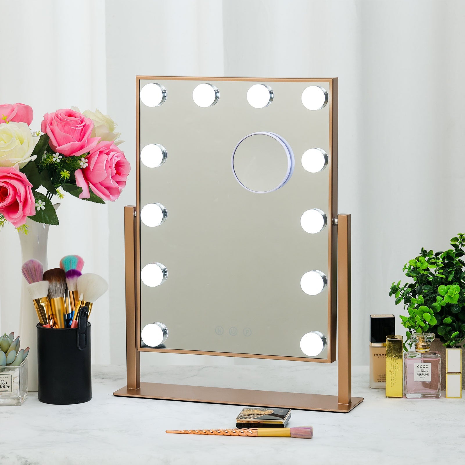 Hollywood Vanity Mirror with Adjustable LED Lights